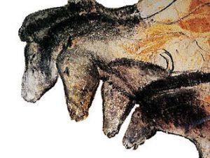ショーヴェ洞窟に古代人が描いた馬の絵