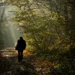 森の中を歩く人