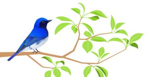 木の枝に止まっている青い鳥のイラスト