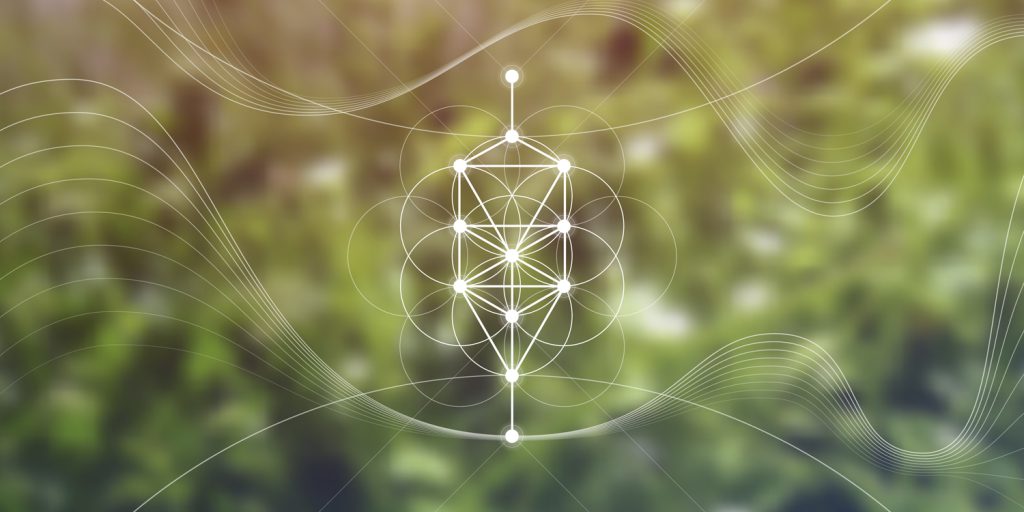 カバラの生命の樹と幾何学曲線