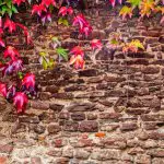 蔦のからまるレンガの塀