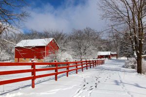 ウィスコンシン州の農場の冬