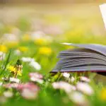 花の咲く野原に置かれた一冊の本