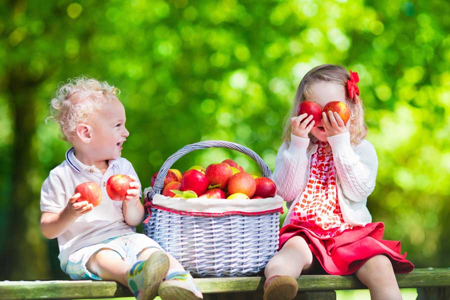 赤色のリンゴを手にしているふたりの子供