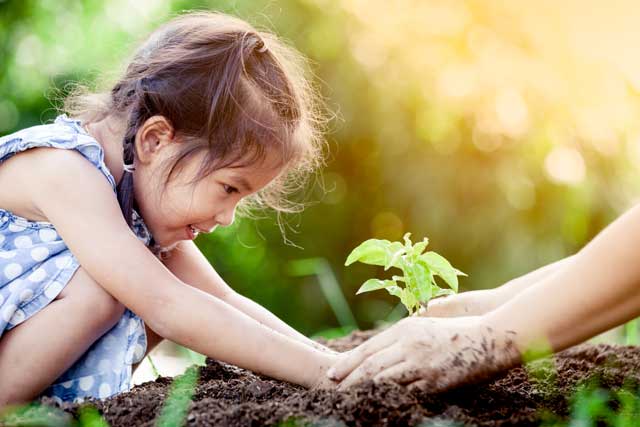 植物の苗を植える子供
