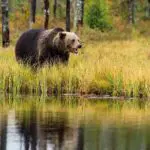 ラコタ族の簡素な生活