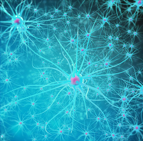 神経細胞（イメージ）