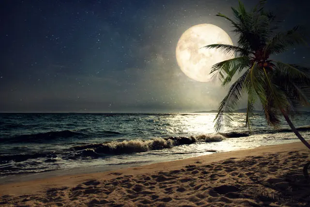 夜の海岸と月