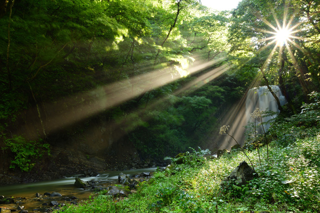 陽の光が射す渓谷