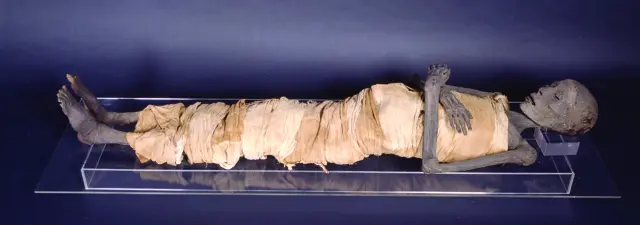 ウセルモントゥの棺に入ったミイラ － バラ十字古代エジプト博物館のコレクションから