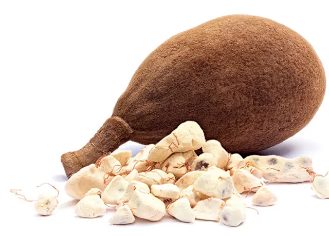 バオバブの果実